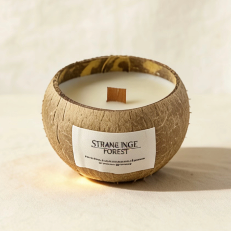 Eco-friendly coconut shell scented candle with wooden wick