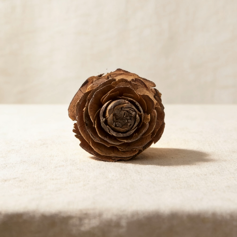Wood Rose Pinecone Accent for Candle & Table Decor
